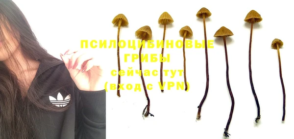 скорость Алексин