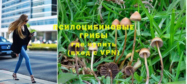 скорость Алексеевка