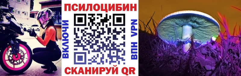 закладки  Кропоткин  KRAKEN tor  Галлюциногенные грибы Psilocybe 